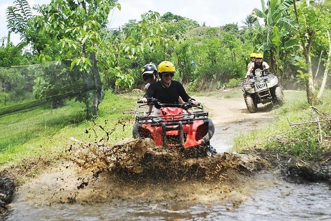 Bali Private Car Charter Tour with English Speaking Driver - Rice terraces and volcano time: Tegalalang and Mt Batur options