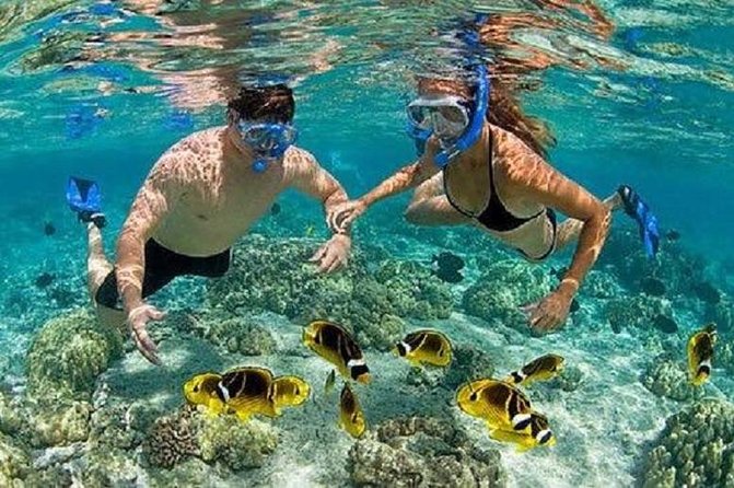Bali Private Car Charter Tour with English Speaking Driver - Ubud market break and fitting in extra Ubud-style fun
