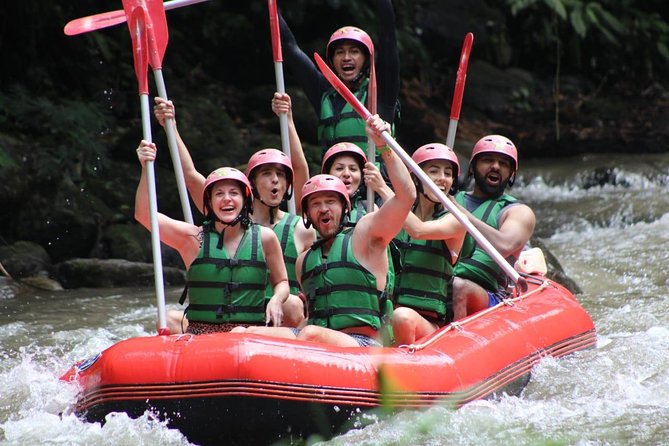 Bali Private Car Charter Tour with English Speaking Driver - Building your custom itinerary around your interests