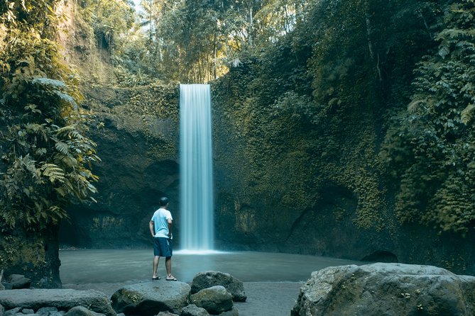 Bali Private Car Charter With English Speaking Driver - Ubud and central Bali: where this charter shines