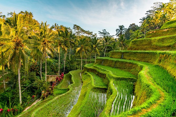 Bali Private Car Hire with Driver - Hidden waterfall time: Tukad Cepung and Tibumana