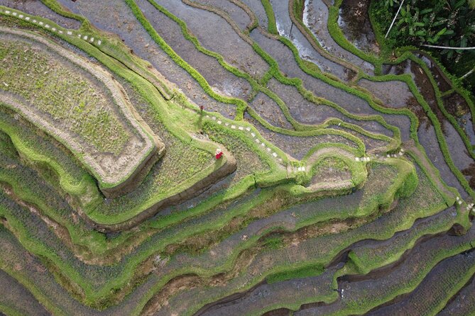 Bali Private Photographer & Drone - A 2-hour Ubud photoshoot that actually feels like a tour
