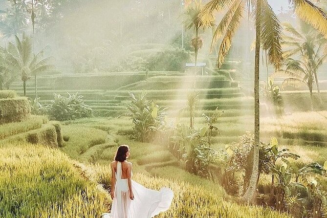 Bali Private Tour - Best of Ubud - All Inclusive - Monkey Forest Sanctuary in the heart of Ubud (1 hour)