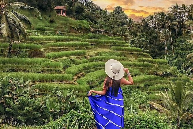 Bali Private Tour - Best of Ubud - All Inclusive - Batik painting, a Silver Smith stop, and extra art time