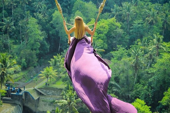 Bali Private Tour: Lempuyang Gate of heaven-Tirta gangga-Tukad Cepung - Why this Bali photo circuit works in one 5-hour day
