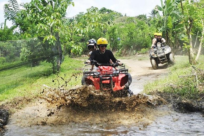 Bali Quad Bike Through Gorilla Cave - Monkey Forest and Waterfall - Sacred Monkey Forest Sanctuary: temples, macaques, and smart etiquette
