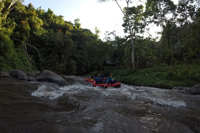 Bali Rafting - Price, Inclusions, and What You May Pay Extra
