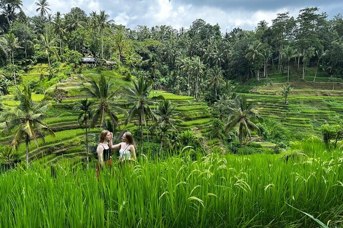 Bali Rafting : Bali Family Rafting in Ubud and Ubud Private Tour - Sacred Monkey Forest Sanctuary: 700 macaques in a 12.5-hectare setting
