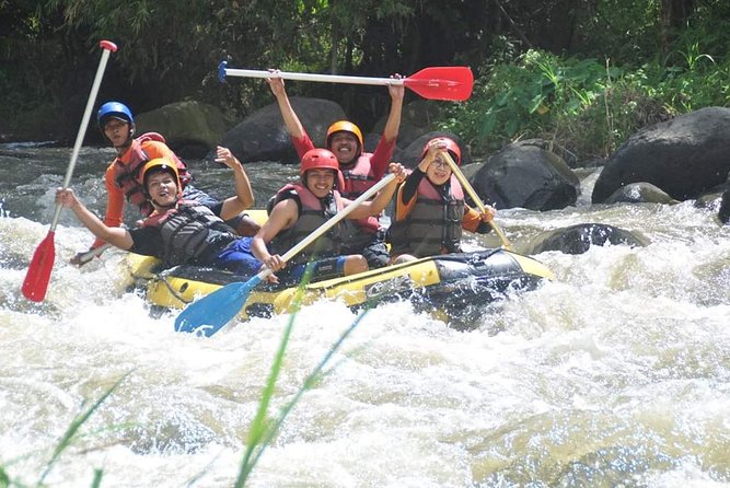 Bali Rafting - Ubud River Rafting With Lunch - On the Water: Grade II and III Rapids on the Ayung