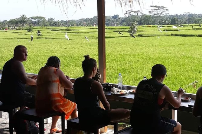 Bali Rafting - Ubud River Rafting With Lunch - Starting at Ayung Dewata Rafting, Then Back Again