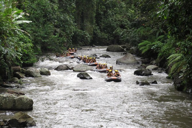 Bali Rafting Ubud with Lunch - Price and Value: What $24.95 Covers (and Why It Feels Reasonable)