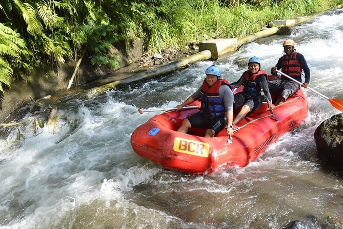 Bali Rafting - Your 2 Hours on the Ayung River: Rapids, Waterfalls, and River Swims
