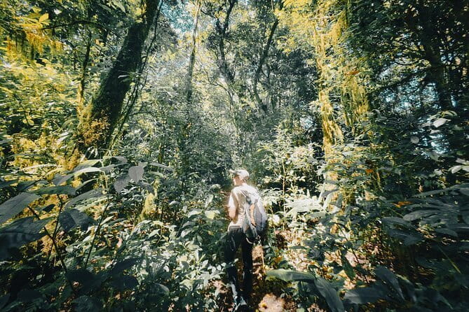 Bali Rainforest Hiking With Canoeing And Waterfall Adventure - Key highlights