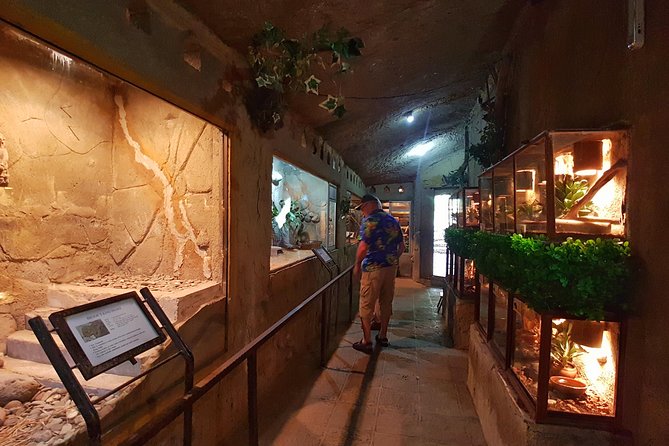 Bali Reptile Park Entrance Ticket - The animals: what you will likely see and why it is fun