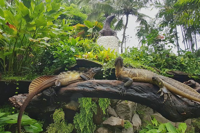 Bali Reptile Park Entrance Ticket - Price and value: is $15.27 a good deal?