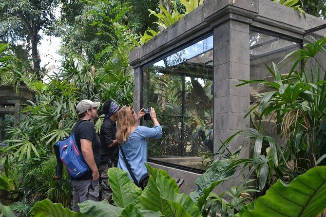 Bali Reptile Park Entrance Ticket - Staff, guides, and the difference between seeing and understanding