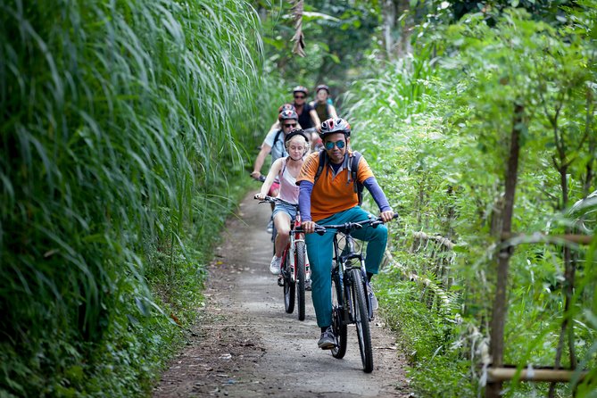 Bali Rocky cycling tour - The 25 km downhill route: rice terraces, temples, and real village paths
