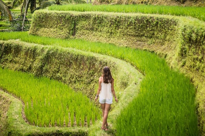 Bali Rural Village Bike - Price and What You Actually Get for $41