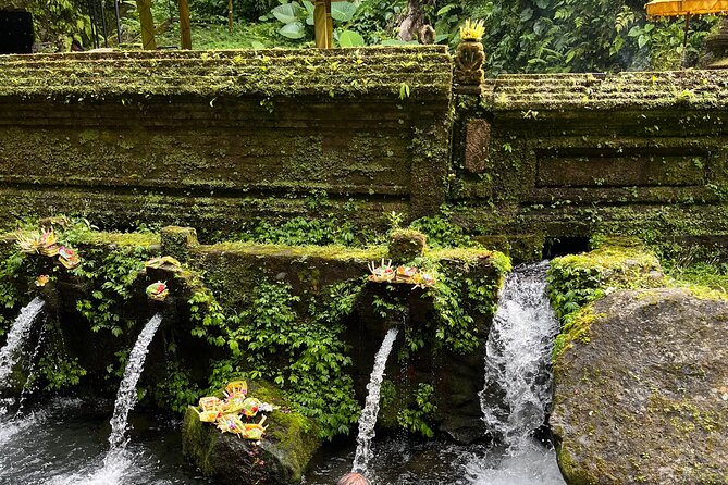 Bali Samanic Healing Purification Natural - Price and Value: What $55 Buys You in Bali