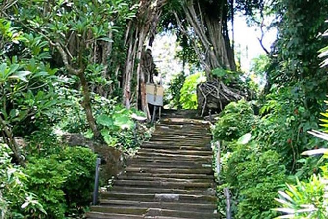 Bali Shaman,Palm Reading,& Spiritual - Getting There: Start Time, Pickup, and How the Day Runs