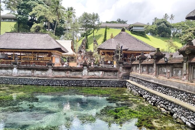 Bali Sightseeing Tour - Traditional village - Waterfall - Key Highlights You’ll Care About