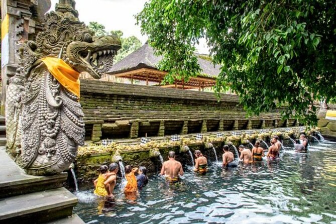 Bali Sightseeing Tour - Traditional village - Waterfall - Stop 1: Goa Raja Waterfall Under the Cave