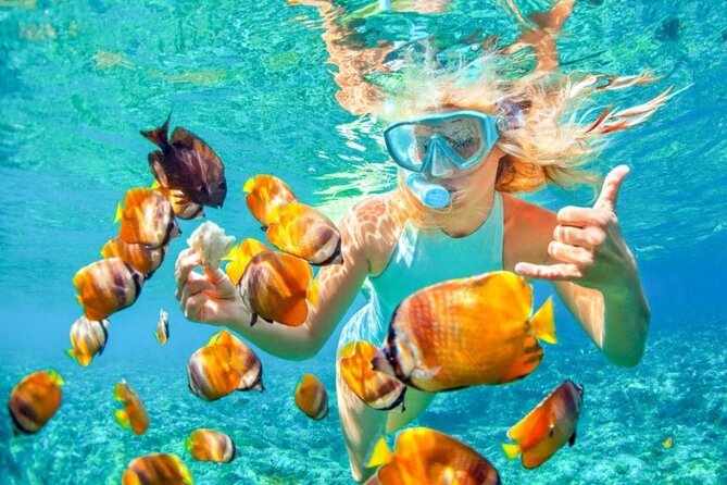 Bali Snorkeling 2 Spot at Blue Lagoon with Lunch & Transport - Blue Lagoon Snorkeling in East Bali, Built for Comfort