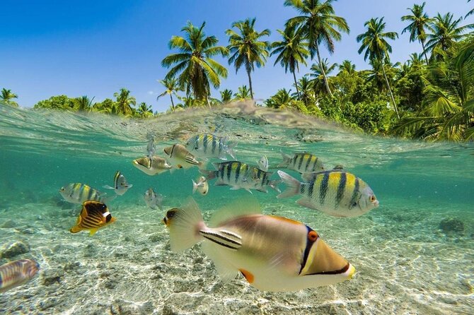 Bali Snorkeling 2 Spot at Blue Lagoon with Lunch & Transport - Padang Bai Beach Stop: The Setup Before You Swim
