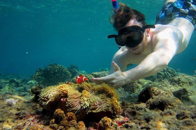 Bali Snorkeling 2 Spot at Blue Lagoon with Lunch & Transport - Safety and Guide Attention That Actually Feels Personal