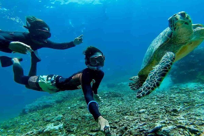 Bali Snorkeling 2 Spot at Blue Lagoon with Lunch & Transport - The 6-Hour Flow: How the Day Actually Moves