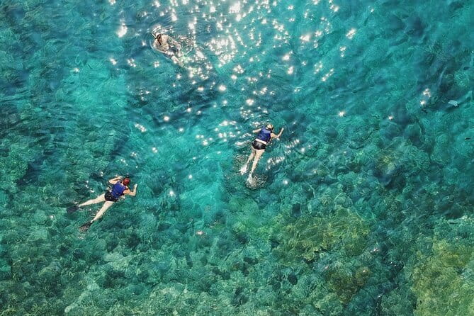Bali Snorkeling 2 Spots & ATV Quad Bike with Lunch & Transfer - ATV quad bike in Ubud, with rice fields, forest, and rivers