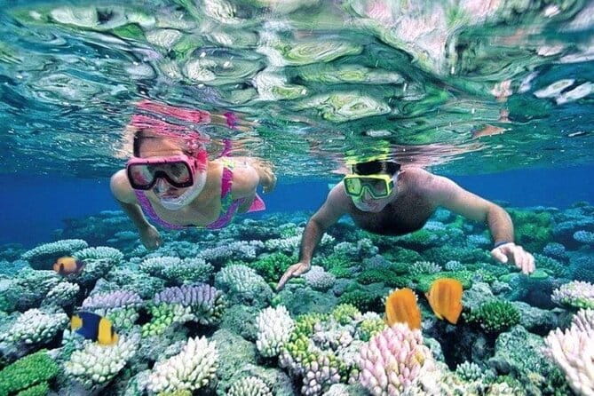 Bali Snorkeling at Blue Lagoon and Tanjung Jepun with Transfer - Key highlights you will actually care about