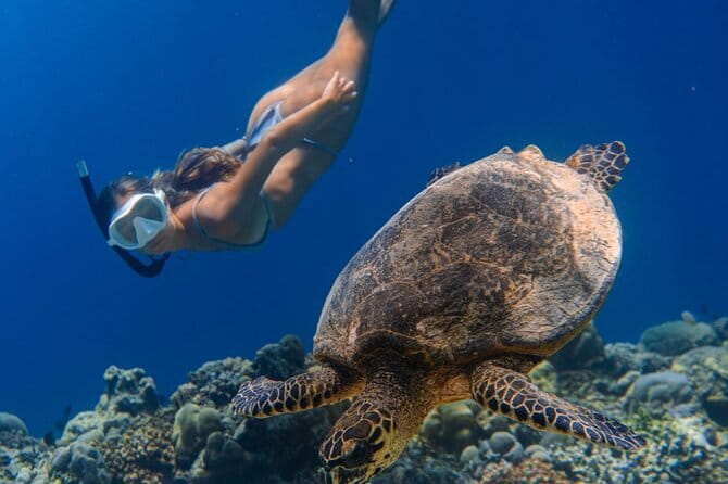 Bali Snorkeling at Blue Lagoon and Tanjung Jepun with Transfer - Tanjung Jepun: the second reef stop that keeps your day from feeling short