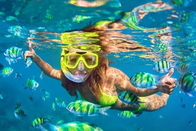 Bali Snorkeling at Blue Lagoon with Transport and Lunch - Pickup and Timing: What You Should Expect From 08:00 or 09:30