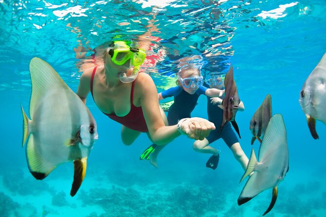 Bali Snorkeling Tour At Blue Lagoon with Gate of Heaven Temple - How the full day flows from Ubud to Blue Lagoon and Lempuyang