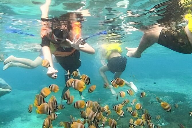 Bali Snorkeling Tour At Blue Lagoon with Gate of Heaven Temple - Transportation, lunch, and why the car ride matters