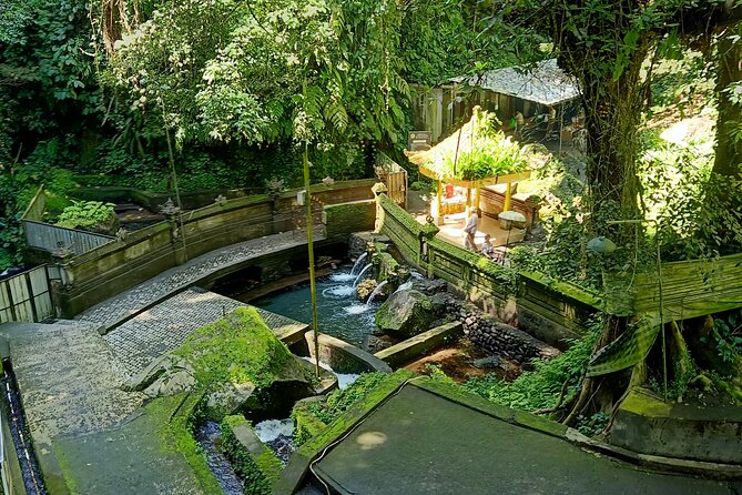 Bali Spiritual Soul Retreat Cleansing and Mantra Healing - Value check: is $79 a good deal for what you get?