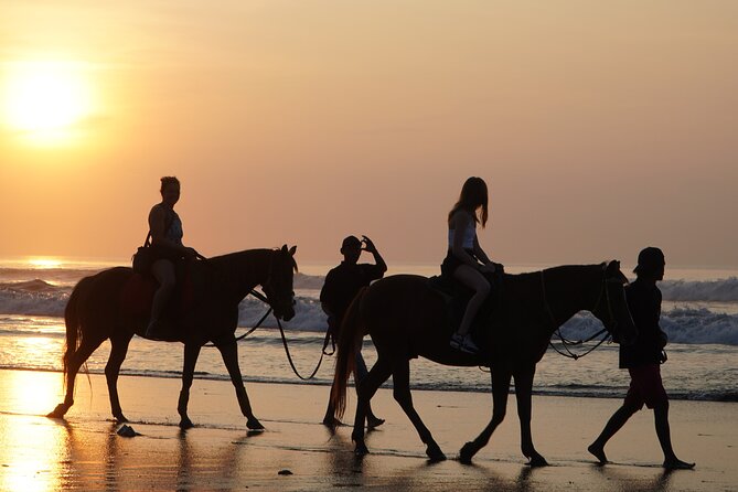 Bali Sunrise Horse Riding and Tour - Key points to know before you go