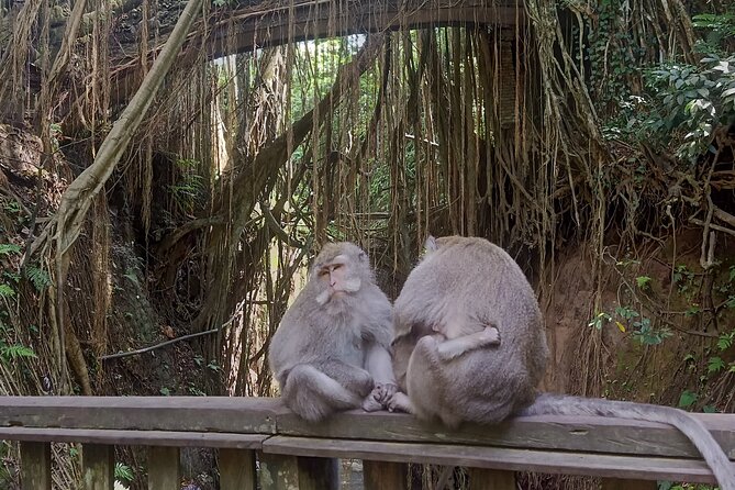 Bali Sunrise Horse Riding and Tour - Guide, pickup, and small details that add real value