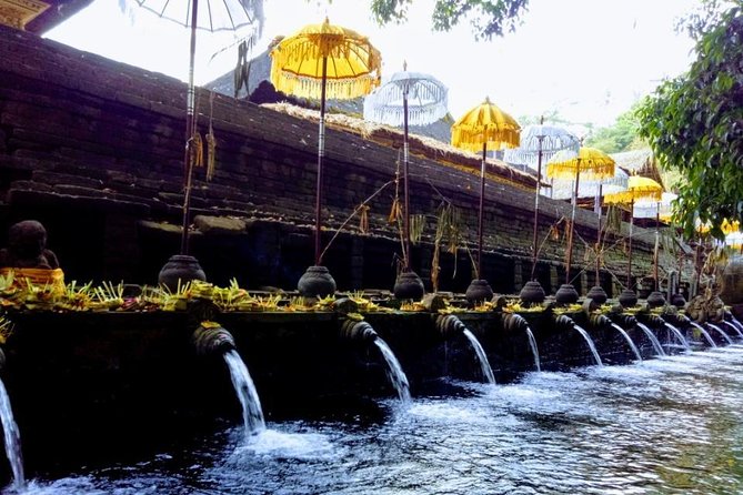 Bali Swing Ubud Private Day Tour - Tegalalang Rice Terrace: timing your photos and lunch