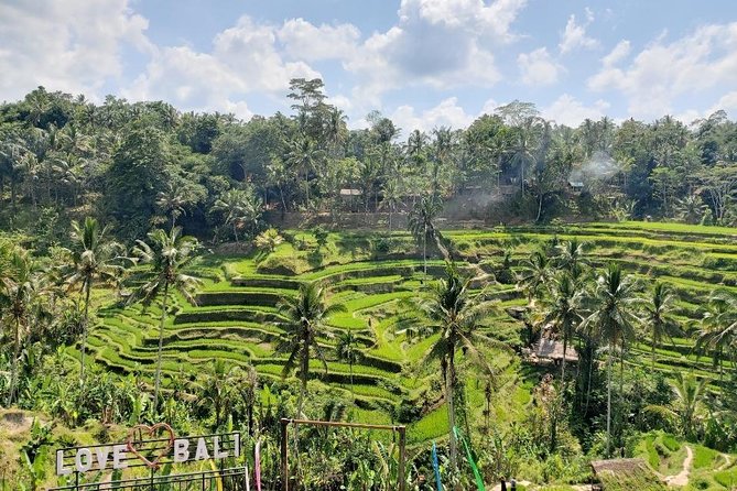 Bali Swing Ubud Private Day Tour - Sacred Monkey Forest Sanctuary: 12 hectares and long-tailed macaques