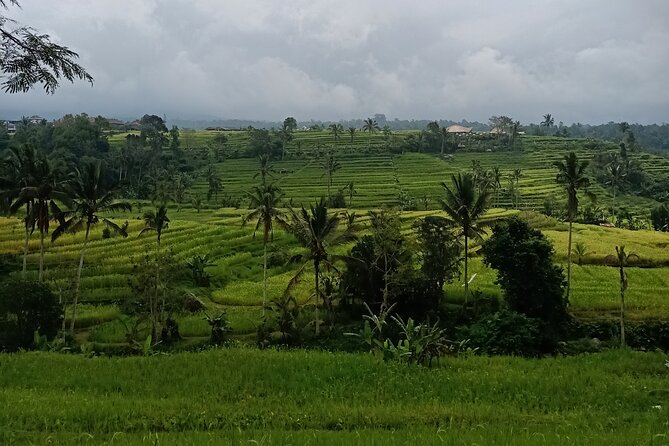 Bali Tanah Lot, Ulun Danu Beratan & Jatiluwih Rice Terrace - Why this Ubud day tour works: temples, UNESCO terraces, and real timing