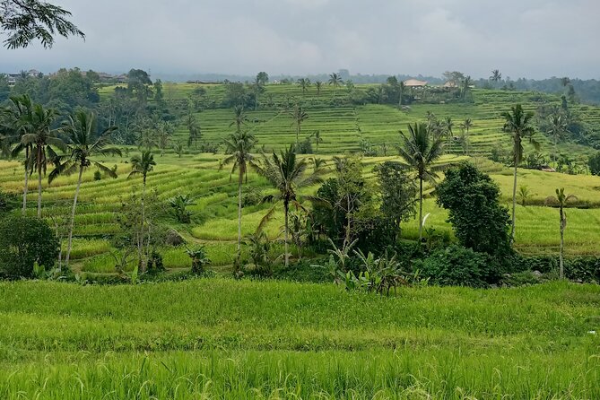 Bali Tanah Lot, Ulun Danu Beratan & Jatiluwih Rice Terrace - Ulun Danu Beratan Temple: lake-side spirituality with forest hills around you