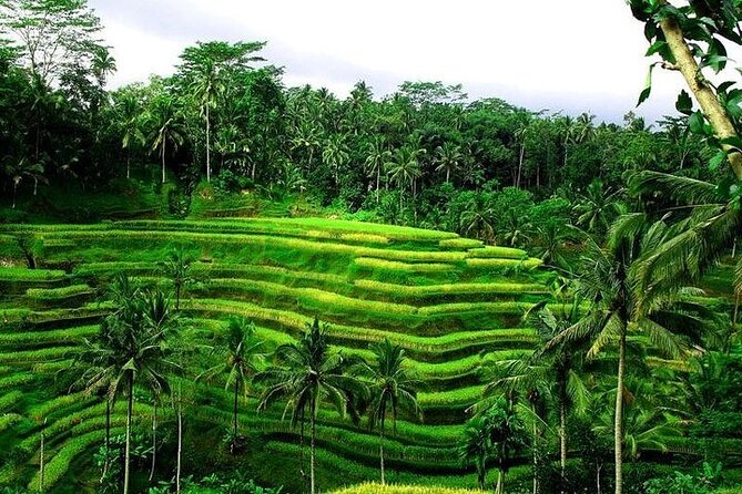 Bali Tirta Empul Tours Experience with Spiritual Cleansing - What $57 buys you, and where your spending might pop up