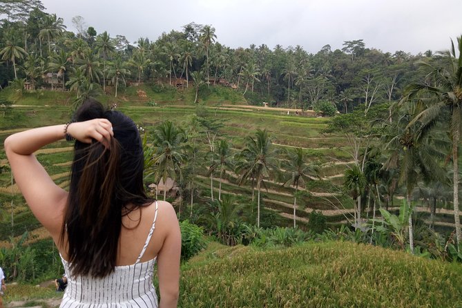 Bali Tour: Cepung Waterfall, Penglipuran Village, & Mt Batur View - Penglipuran Village: a preserved layout you can actually walk