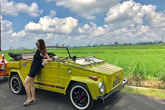 Bali Tour Driver - Tegenungan Waterfall: A Classic Bali Stop with a Swimming Option