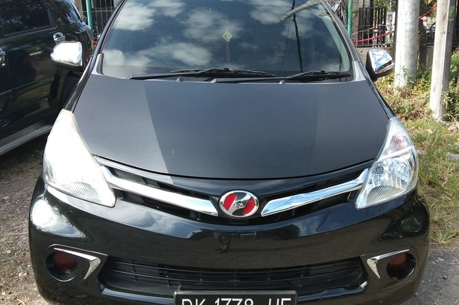 Bali Tour Guide And Driver - Pricing reality: what $40 per person covers in a long day