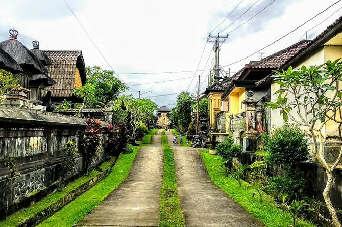 Bali Traditional Village Experience - Key Things That Make This Worth Your Time
