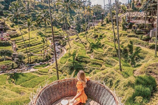 Bali: Ubud Highlights Tour with Private Guide and Transfers - Stop 4: Tegalalang Rice Terrace, the classic Ubud scene
