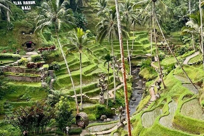 Bali Ubud Private Costomized Tour - Explore Bali your way - Stop 3: Tegenungan Waterfall for a jungle reset